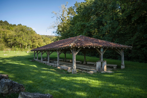 Fleuriste Bourg-en-Bresse