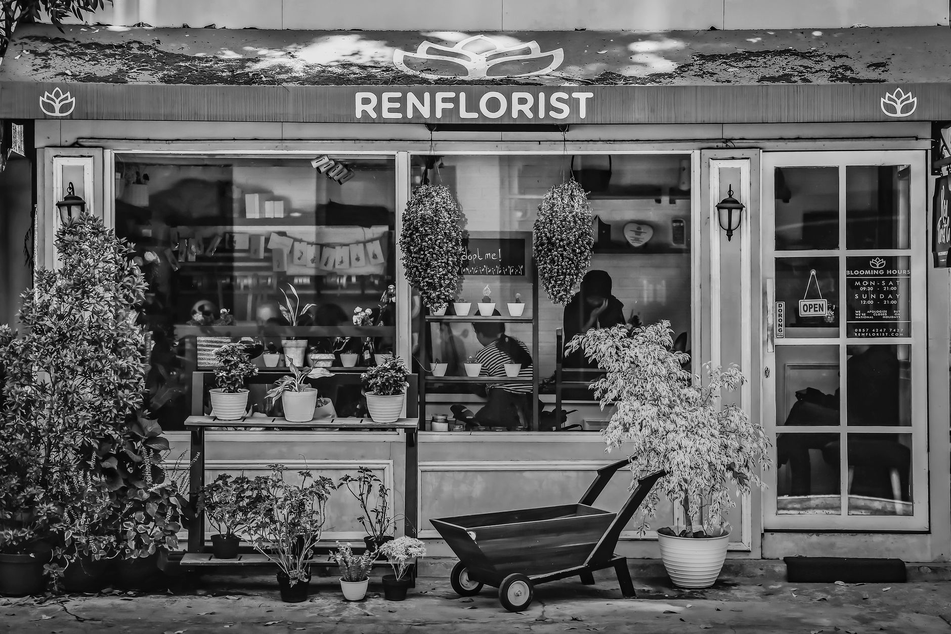 Fleuriste à Bourg-en-Bresse
